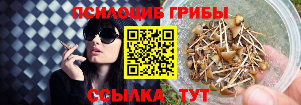 Вичуга  Галлюциногенные грибы мицелий  Вход с VPN 