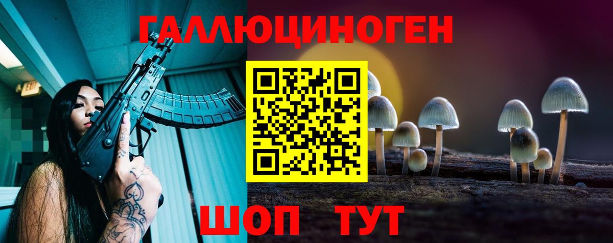 Галлюциногенные грибы Psilocybine cubensis Вичуга